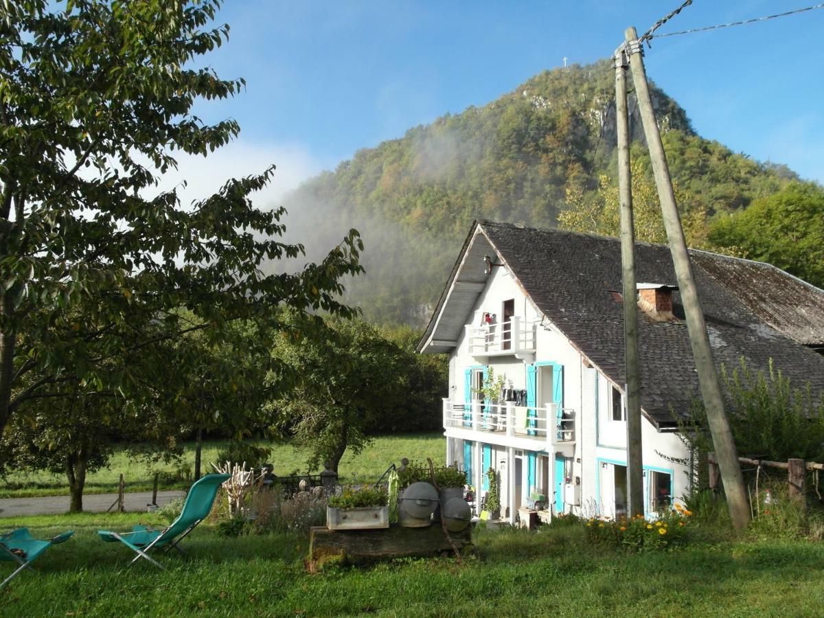 Les Deux Velos Chambres D'Hotes-Table D'Hotes Biert Exteriör bild